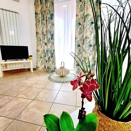 Taboo Duplex Daire
