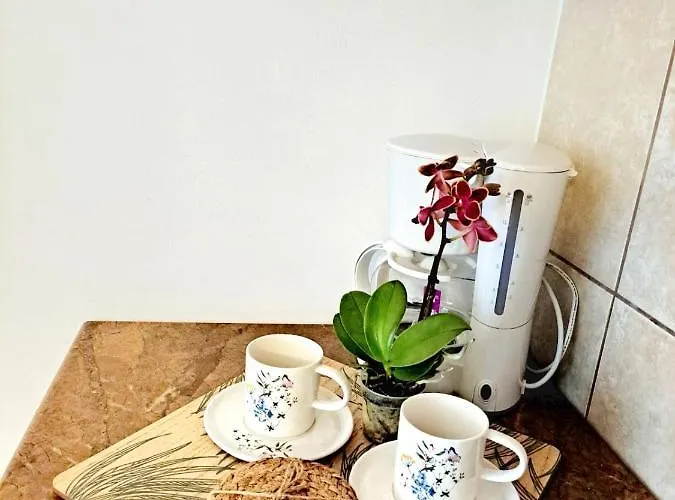 Apartment Taboo Duplex