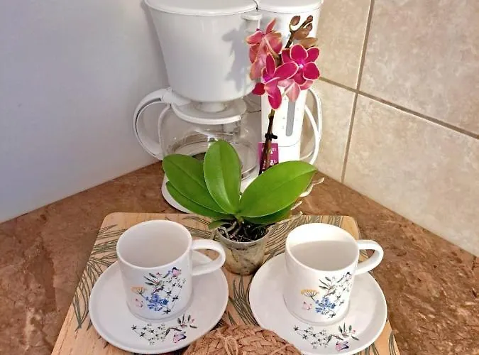 Taboo Duplex Eforie Nord